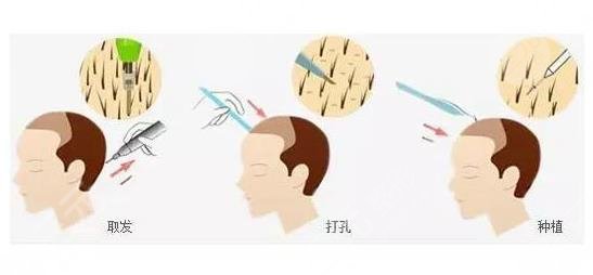 北京八大处环境图